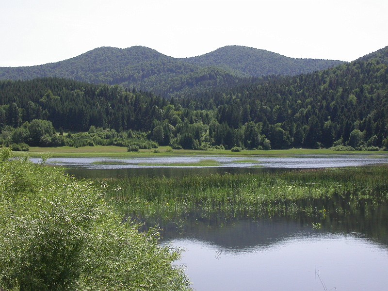 Cerknisko Jezero periodical lake 2.JPG